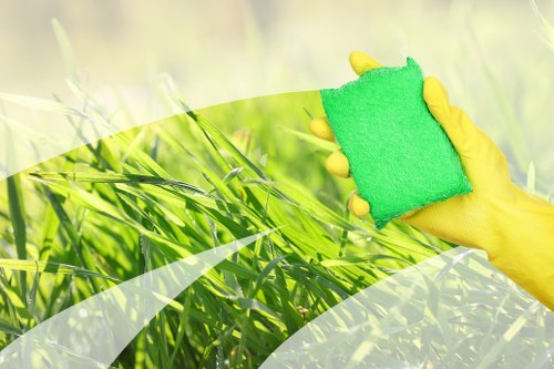 Professional home cleaners in Waterloo maintaining a tidy living room