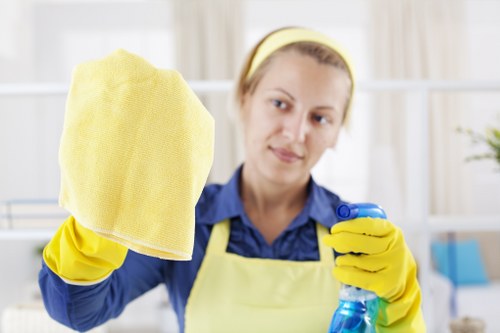 Professional upholstery cleaning in Waterloo for a fresh living room sofa
