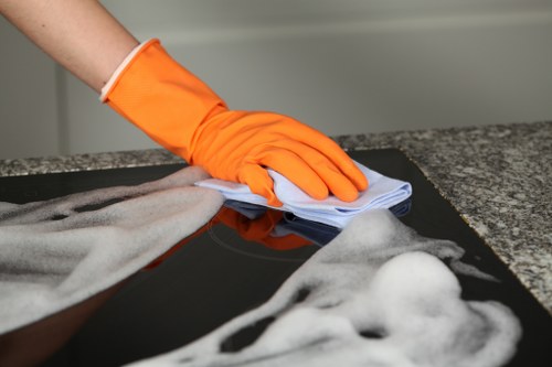 Professional carpet cleaning service in Waterloo refreshing a home carpet