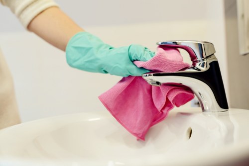 Eco-friendly cleaner in Waterloo using safe products