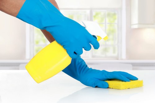 Professional cleaners working in a Waterloo home interior