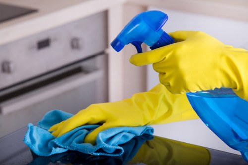 Home cleaners in Waterloo performing deep cleaning in a bathroom