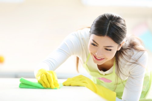 Local cleaning professionals organizing a modern Waterloo home