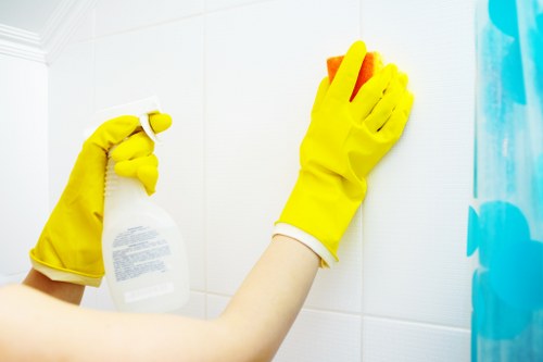 Detailed oven cleaning process in a Waterloo home kitchen