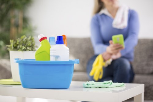 Rug and upholstery cleaning options