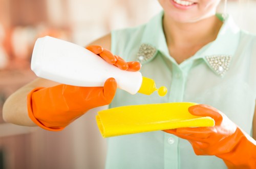 Waterloo carpet cleaning service treating stains and high-traffic areas