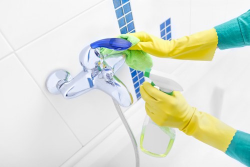 Eco-friendly carpet cleaning route planning in Waterloo