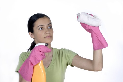 Cleaners in Waterloo providing deep cleaning for a property